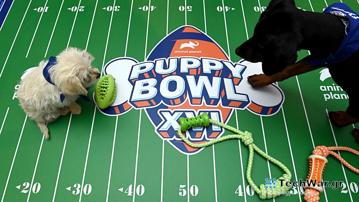 Ο Τέιλορ φτάνει στο μεγάλο παιχνίδι
