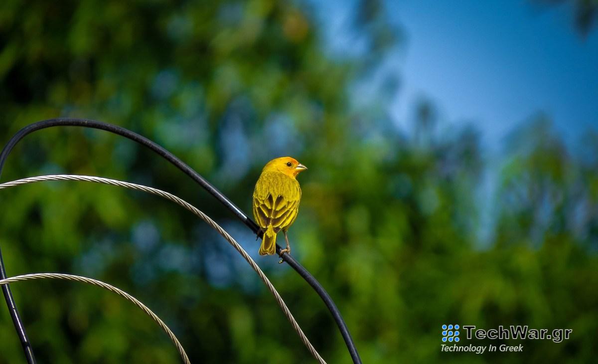 Προσλάβετε νοοτροπία πάνω από σύνολο δεξιοτήτων