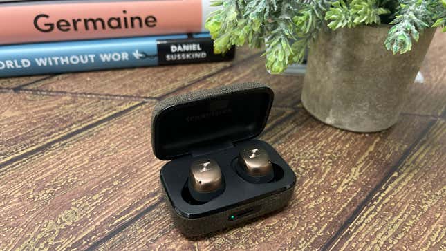 Μια φωτογραφία των μπουμπουκιών στη θήκη. 