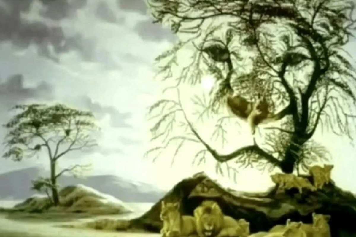 Τεστ προσωπικότητας, οπτική ψευδαίσθηση, δέντρο, λέαινα