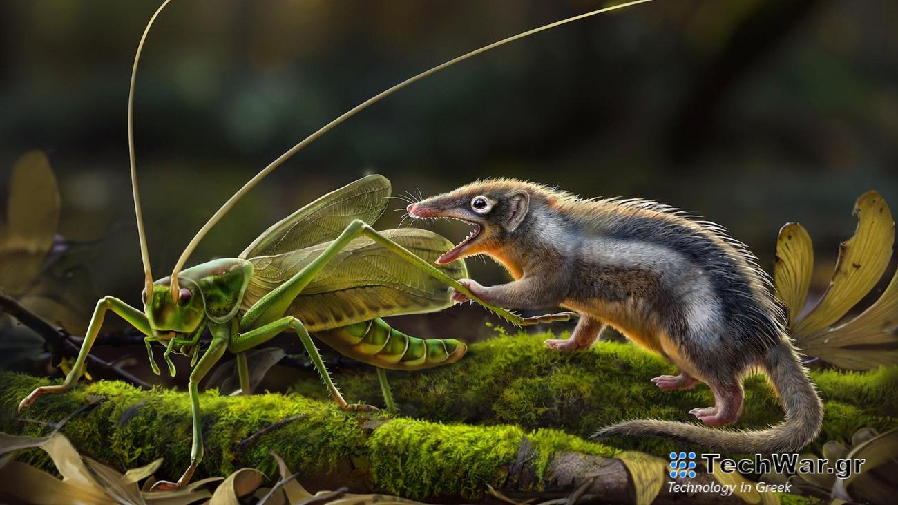 a small ferrit-like mammal from the jurassic period goes after a winged insect
