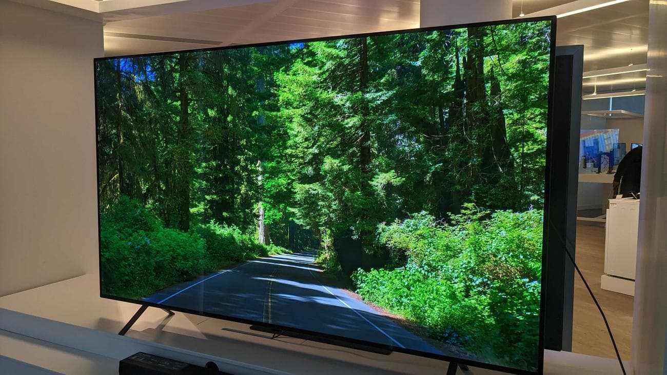 Τηλεόραση LG B4 OLED με πράσινο δάσος στην οθόνη