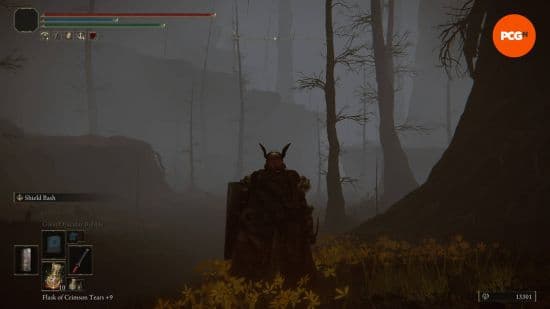 Χάρτης Elden Ring: άποψη του Abyssal Woods.