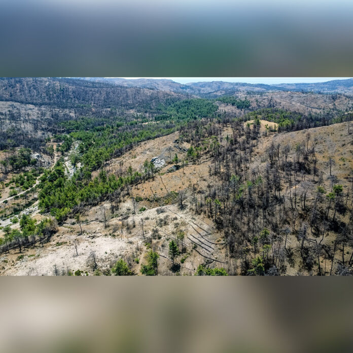 Η Nova παρέδωσε το μείζον έργο αποκατάστασης πυρόπληκτων περιοχών στη Ρόδο - Digitaltvinfo.gr