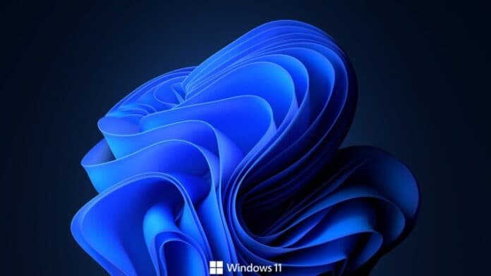 Tiny Windows 11 logo on top of Bloom