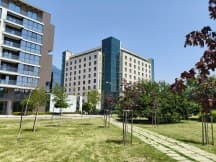 Reno12 Pro: 1x - f/1.8, ISO 80, 1/2526s - Oppo Reno12 Pro εναντίον Reno12