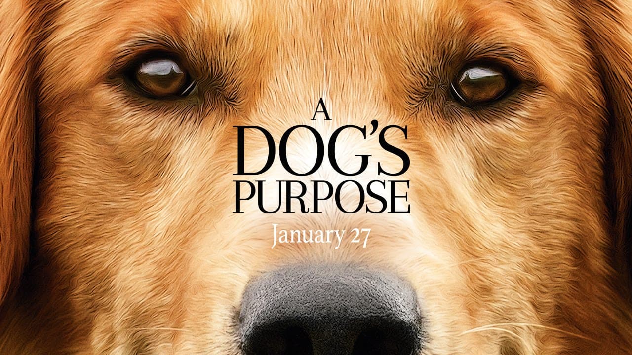 A Dog's Purpose - Επίσημο τρέιλερ (HD) - YouTube