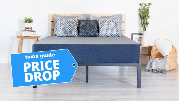 The Brooklyn Bedding Dreamfoam Essential mattress with a Tom